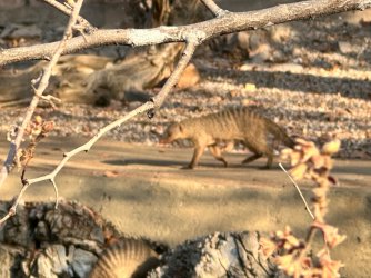 IMG_5242.jpeg IMG_5242.jpeg