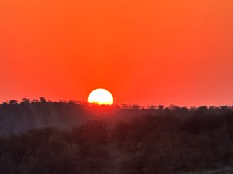 IMG_5254.jpeg IMG_5254.jpeg