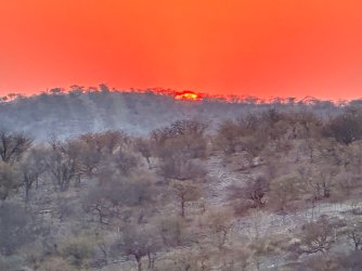 IMG_5257.jpeg IMG_5257.jpeg