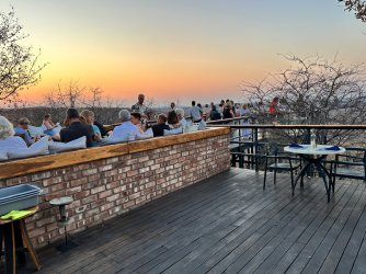 IMG_5261.jpeg IMG_5261.jpeg