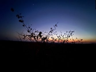 IMG_5276.jpeg IMG_5276.jpeg