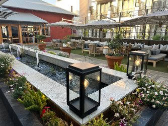 IMG_5321.jpeg IMG_5321.jpeg