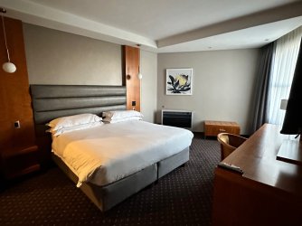 IMG_5379.jpeg IMG_5379.jpeg