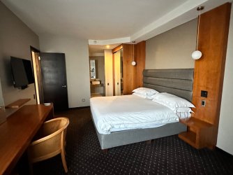 IMG_5381.jpeg IMG_5381.jpeg