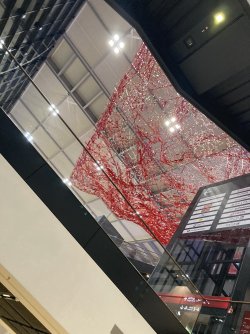 IMG_7270.jpeg IMG_7270.jpeg