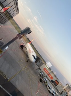 IMG_7274.jpeg IMG_7274.jpeg