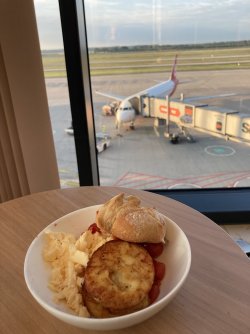 IMG_7281.jpeg IMG_7281.jpeg