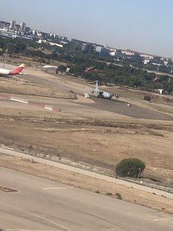 IMG_7297.jpeg IMG_7297.jpeg