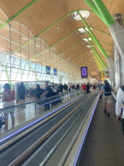 IMG_7301.jpeg IMG_7301.jpeg