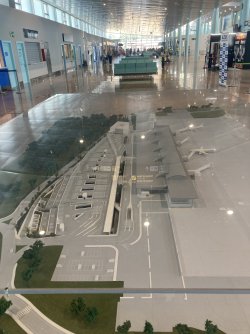 IMG_7322.jpeg IMG_7322.jpeg