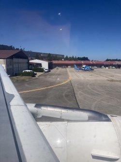 IMG_7314.jpeg IMG_7314.jpeg