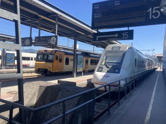 IMG_7338.jpeg IMG_7338.jpeg