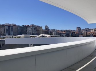 IMG_7357.jpeg IMG_7357.jpeg