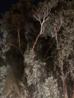 IMG_2064.jpeg IMG_2064.jpeg