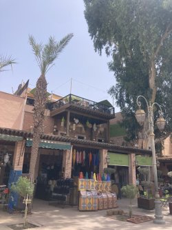 IMG_1818.jpeg IMG_1818.jpeg