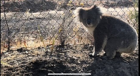 IMG_5761.jpeg IMG_5761.jpeg