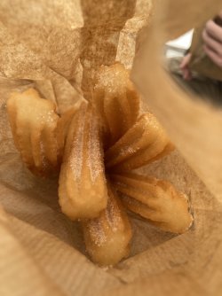 IMG_7627.jpeg IMG_7627.jpeg