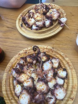 IMG_7642.jpeg IMG_7642.jpeg