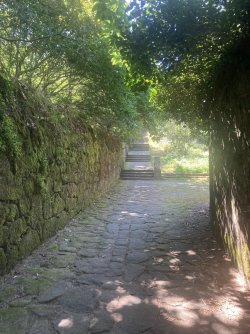 IMG_7660.jpeg IMG_7660.jpeg