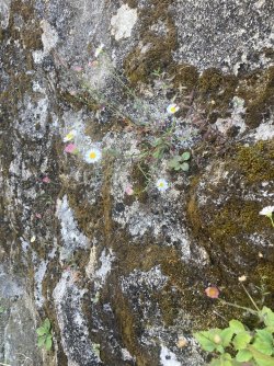 IMG_7672.jpeg IMG_7672.jpeg