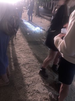 IMG_8018.jpeg IMG_8018.jpeg