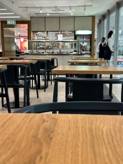 IMG_5413.jpeg IMG_5413.jpeg