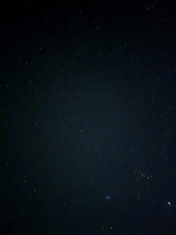 IMG_3095.JPG IMG_3095.JPG