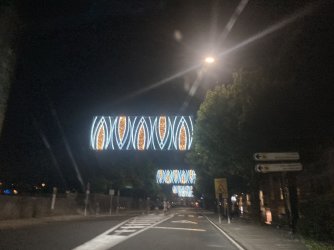 IMG_8080.jpeg IMG_8080.jpeg