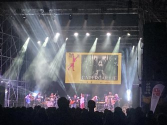 IMG_8081.jpeg IMG_8081.jpeg