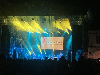 IMG_8084.jpeg IMG_8084.jpeg