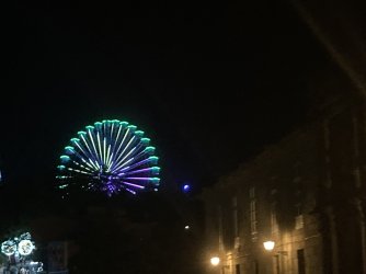 IMG_8087.jpeg IMG_8087.jpeg