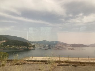 IMG_8110.jpeg IMG_8110.jpeg