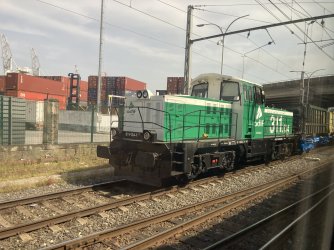 IMG_8120.jpeg IMG_8120.jpeg