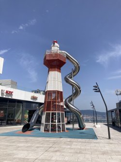 IMG_8133.jpeg IMG_8133.jpeg