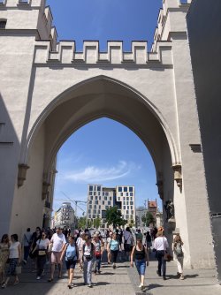 IMG_8205.jpeg IMG_8205.jpeg