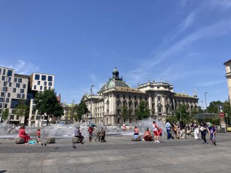 IMG_8207.jpeg IMG_8207.jpeg