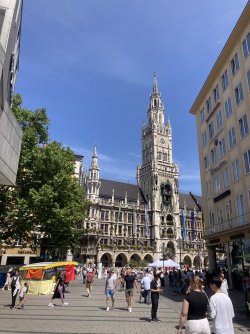 IMG_8222.jpeg IMG_8222.jpeg