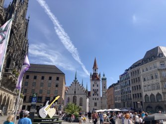 IMG_8227.jpeg IMG_8227.jpeg