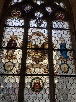 IMG_8228.jpeg IMG_8228.jpeg