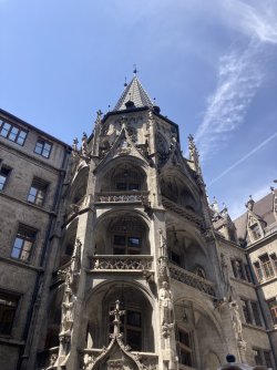 IMG_8229.jpeg IMG_8229.jpeg