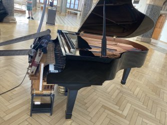 IMG_8234.jpeg IMG_8234.jpeg