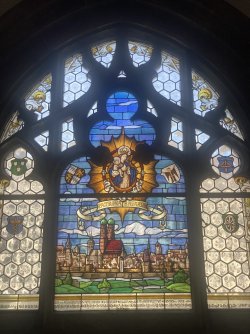 IMG_8249.jpeg IMG_8249.jpeg