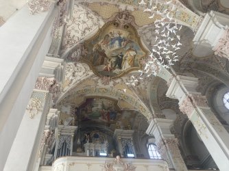 IMG_8265.jpeg IMG_8265.jpeg