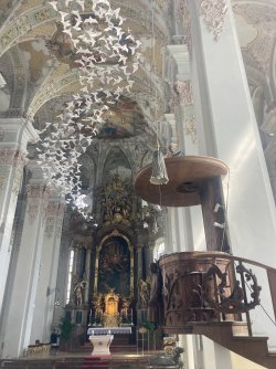 IMG_8266.jpeg IMG_8266.jpeg