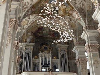 IMG_8268.jpeg IMG_8268.jpeg