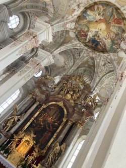 IMG_8269.jpeg IMG_8269.jpeg