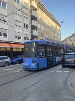 IMG_8287.jpeg IMG_8287.jpeg