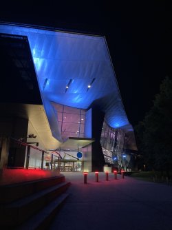 IMG_8339.jpeg IMG_8339.jpeg