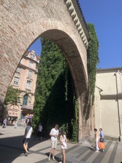 IMG_8360.jpeg IMG_8360.jpeg