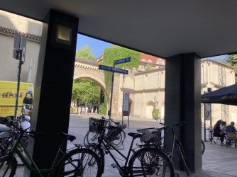 IMG_8356.jpeg IMG_8356.jpeg